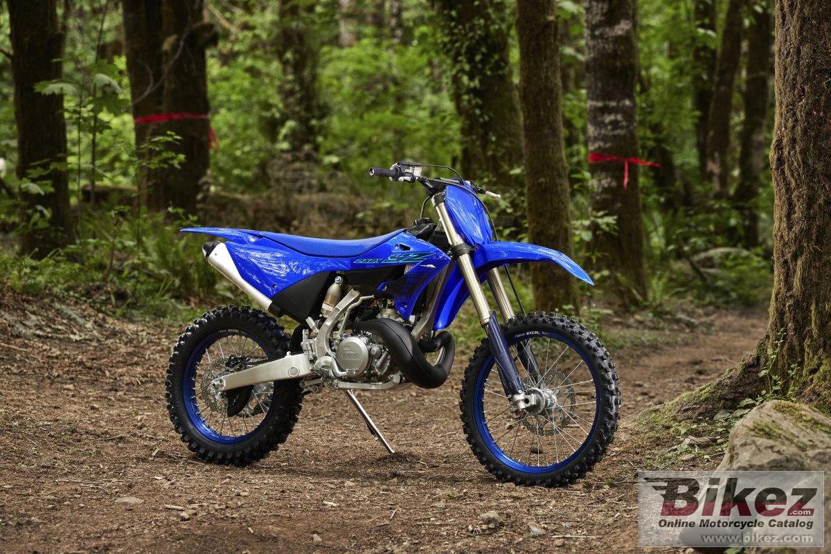 2024 Calendar visual data 4